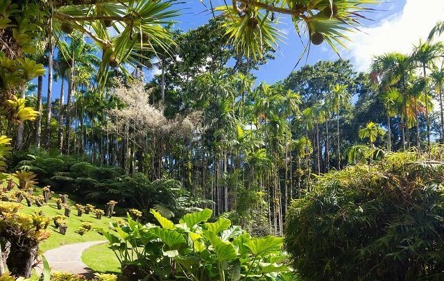 Halimbawa ng sanaysay tungkol sa pag-ibig? - Fort-de-France | Secret World Trip Planner