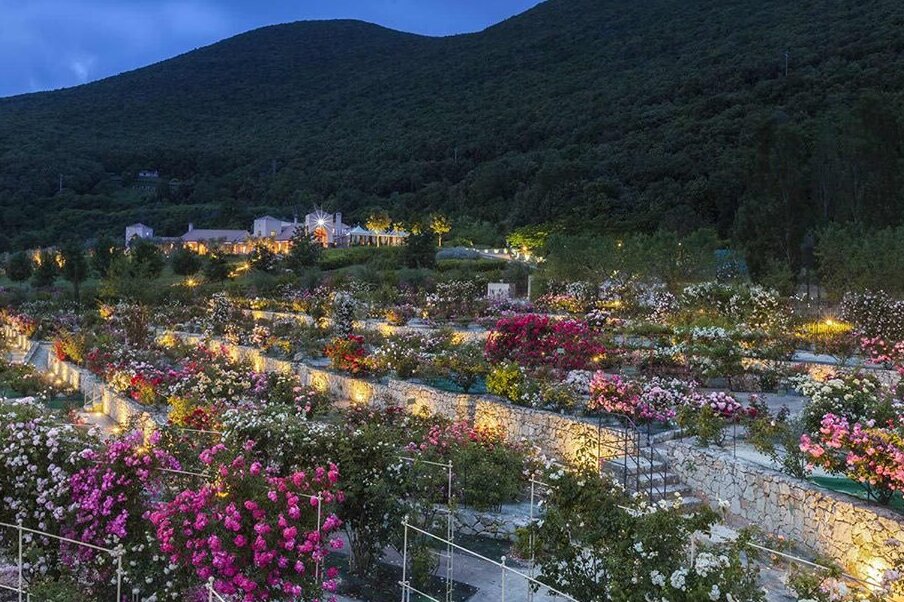 Il roseto Vacunae Rosae - Roccantica | Secret World Trip Planner