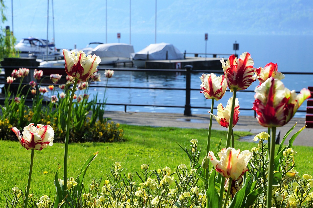 Locarno, the Swiss part of Lake Maggiore | Secret World Trip Planner