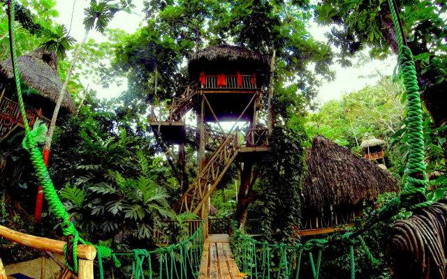 Parque de aventuras: Tree House Village - El Valle | Secret World Trip Planner