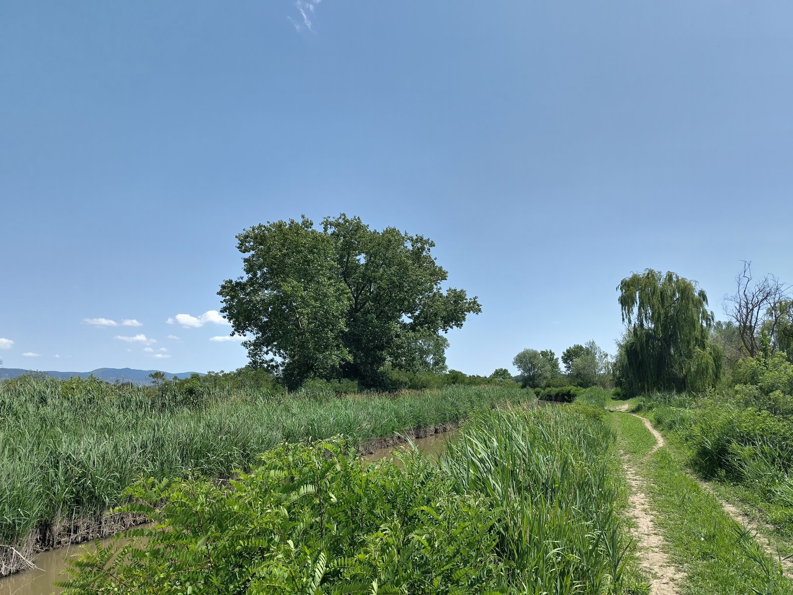 Ya Padule ya Fucecchio - Fucecchio | Secret World Trip Planner