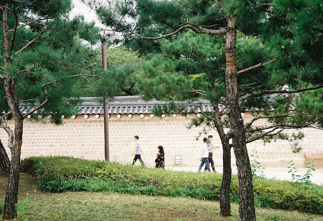 Unesco: Jongmyo Santuario en Seúl é un culturais destacar - Jongno-gu | Secret World Trip Planner