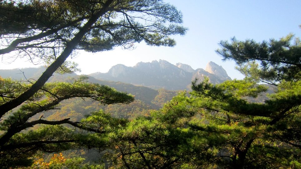 Seúl: Parque Nacional de la Montaña Bukhansan — Bukhansan