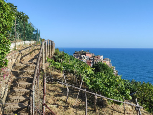 ლურჯი ბილიკი - 19016 Vernazza SP | Secret World Trip Planner
