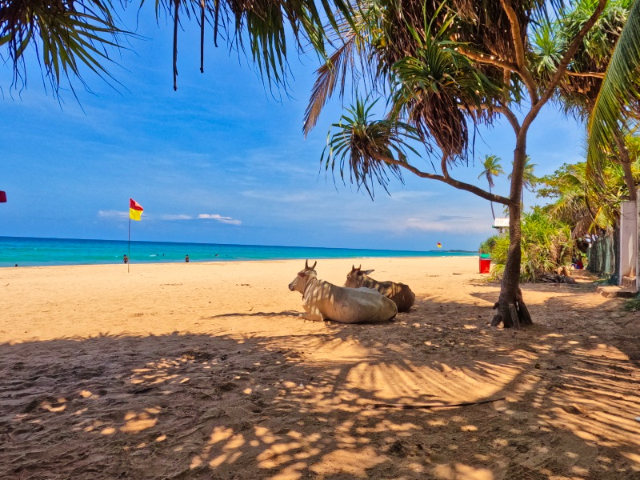 Playa de Nilaveli - Nilaveli Beach | Secret World Trip Planner