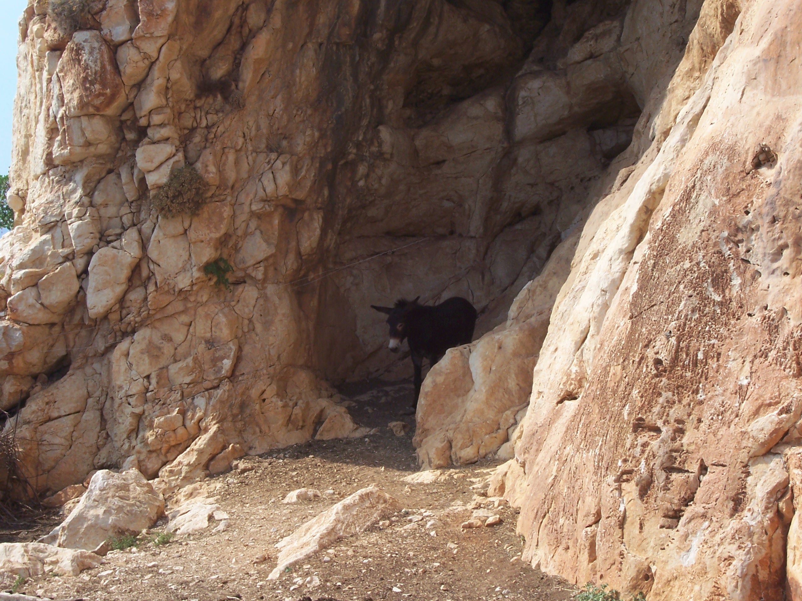 Sicilia: Reserva Natural del Monte Cofano - Custonaci | Secret World Trip Planner