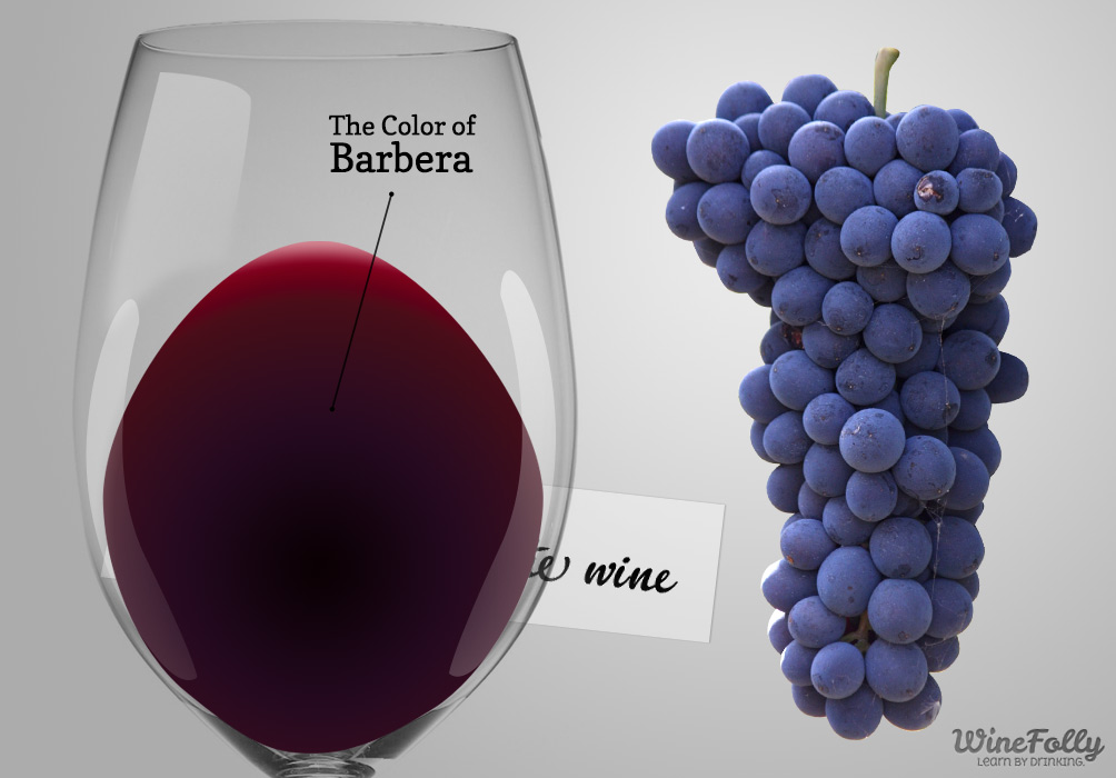 Geriausi pasaulio vynai | Barbera d'Alba doc - 12051 Alba CN | Secret World Trip Planner
