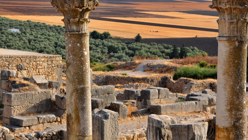 Site archéologique de Volubilis - Meknes | Secret World Trip Planner