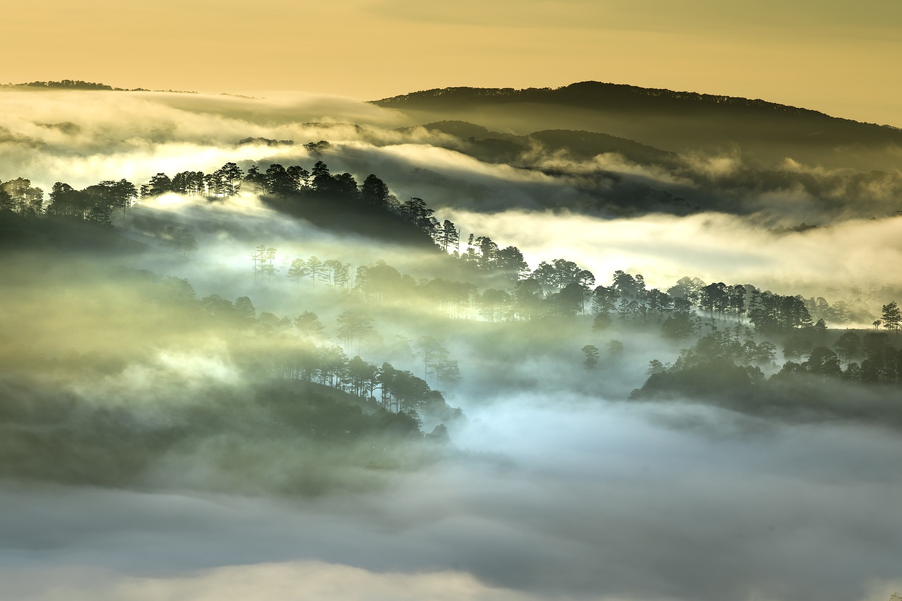 From Lat, Little Paris - Da Lat | Secret World Trip Planner