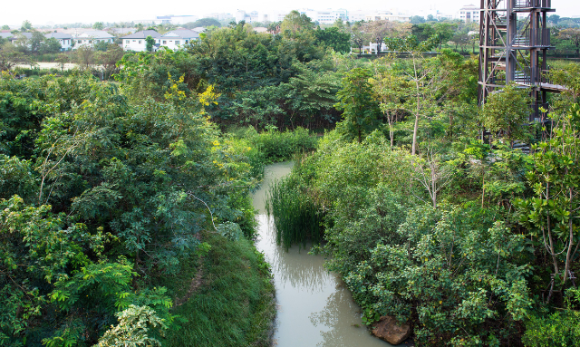 Msitu wa Metro - Khet Prawet | Secret World Trip Planner