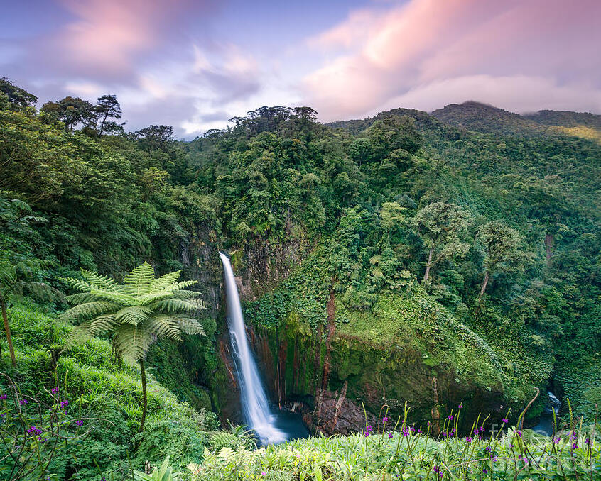 Costa Rica: Catarata del Toro — Provincia di Alajuela