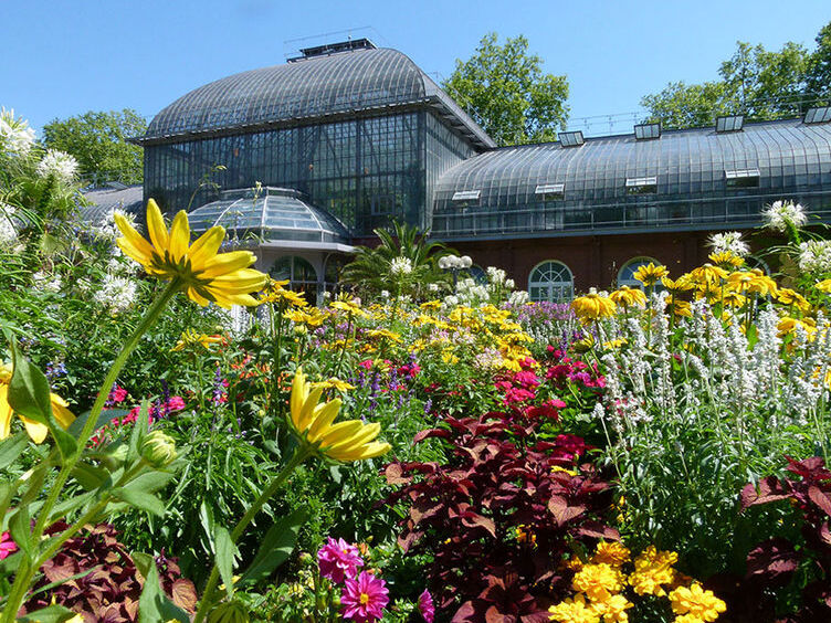 Frankfurt : Palmengarten (Palm Garden) - Frankfurt am Main | Secret World Trip Planner