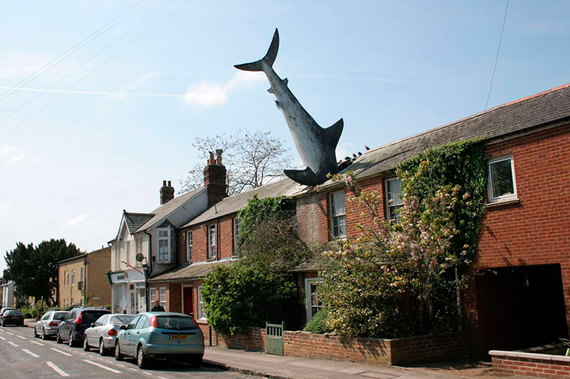 The Headington Shark — 2 New High St