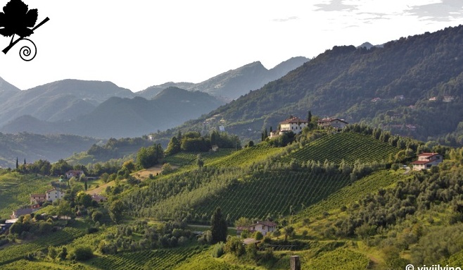 Vino Valcalepio D.O.C. - Valcalepio DOC | Secret World Trip Planner