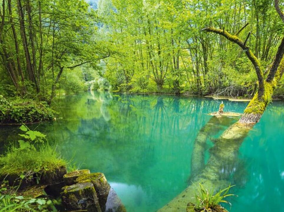 Dal del Lavenza-Humus Park - 34 | Secret World Trip Planner