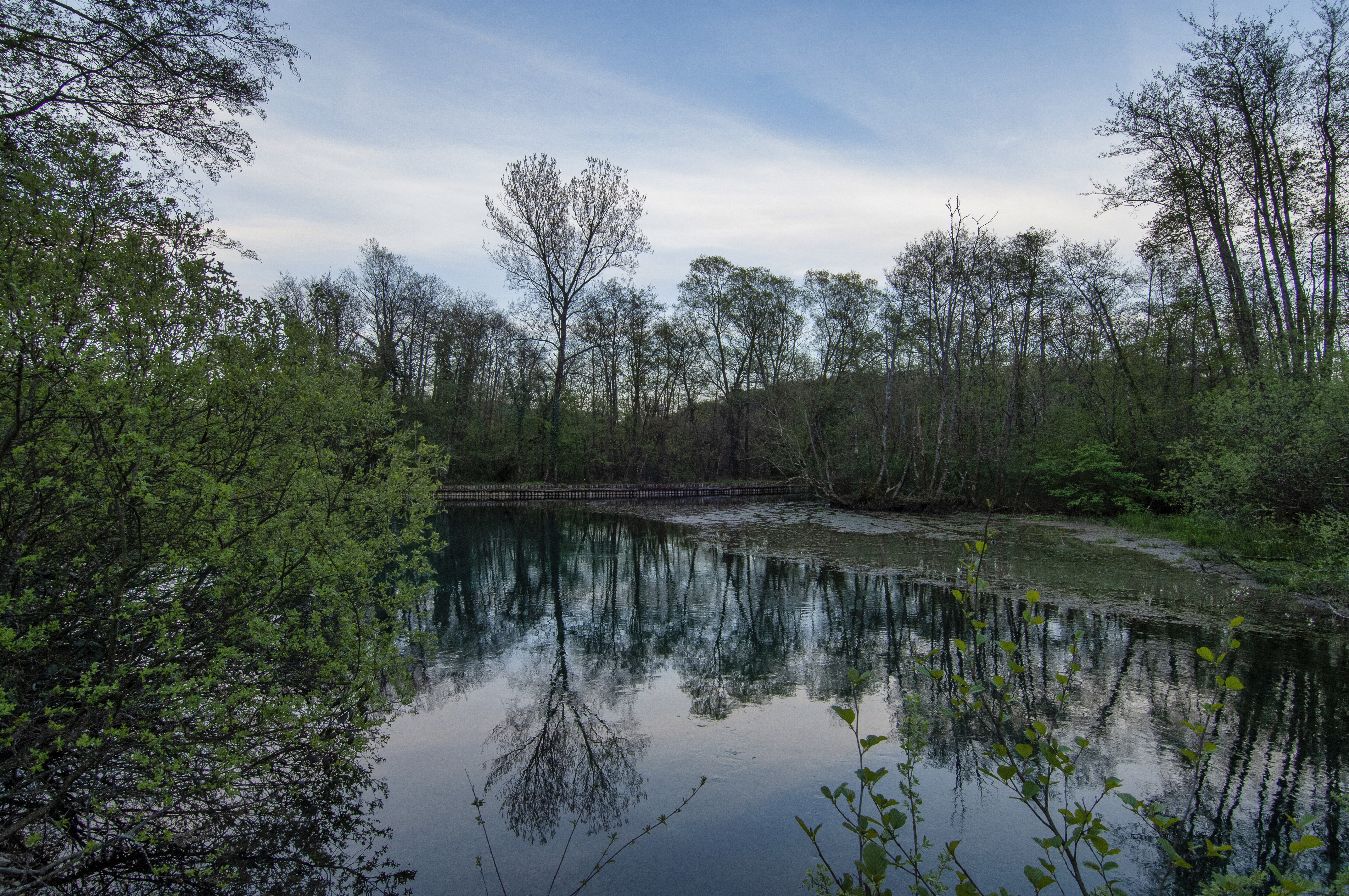 Dal del Lavenza-Humus Park - 34 | Secret World Trip Planner