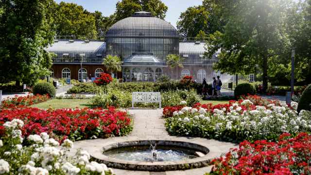 Palmiye Bahçesi - Frankfurt am Main | Secret World Trip Planner