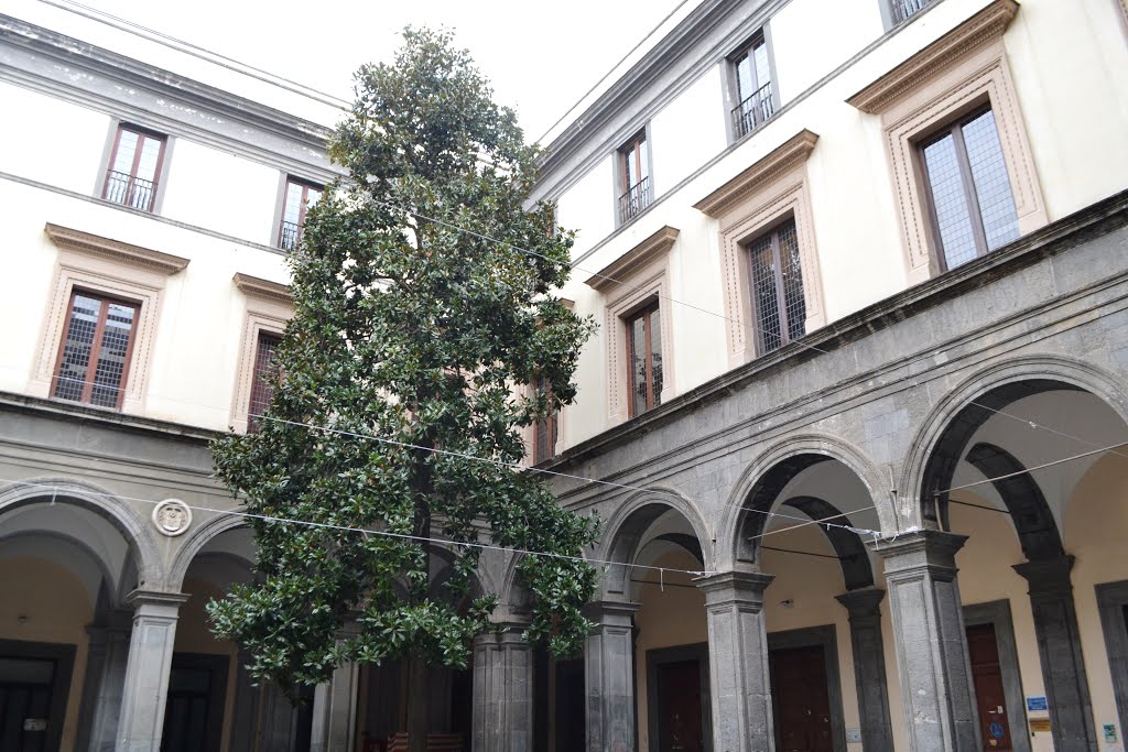 グラヴィーナのオルシーニ宮殿 - Napoli | Secret World Trip Planner