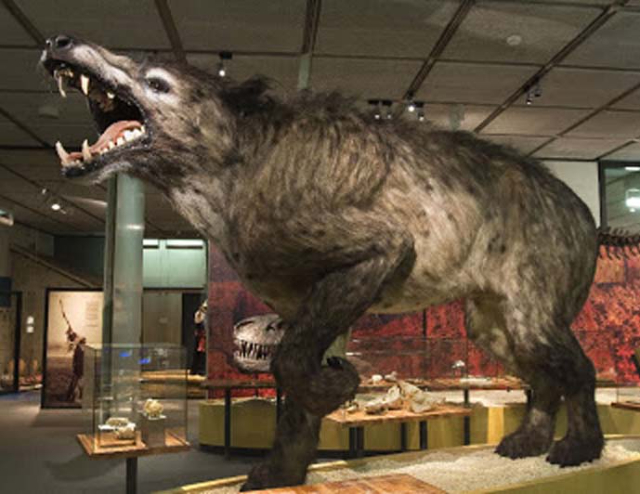 Museum of the Beast of Gévaudan - Saugues | Secret World Trip Planner