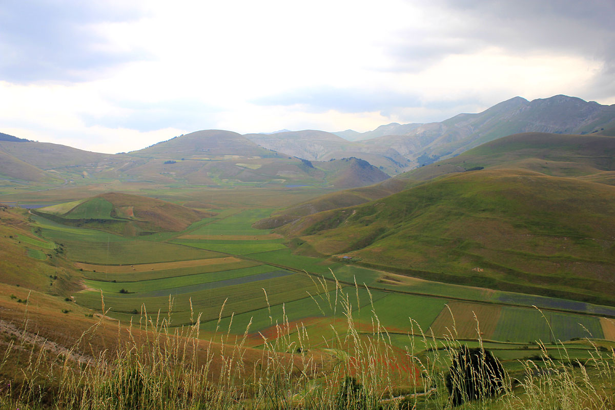 L'épanouissement de Castelluccio - Castelluccio | Secret World Trip Planner