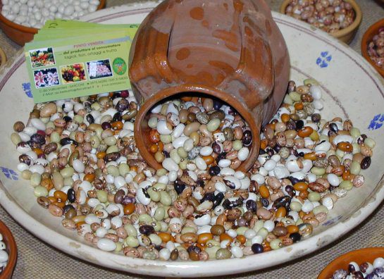 Fasola Sarconi IGP - Sarconi | Secret World Trip Planner