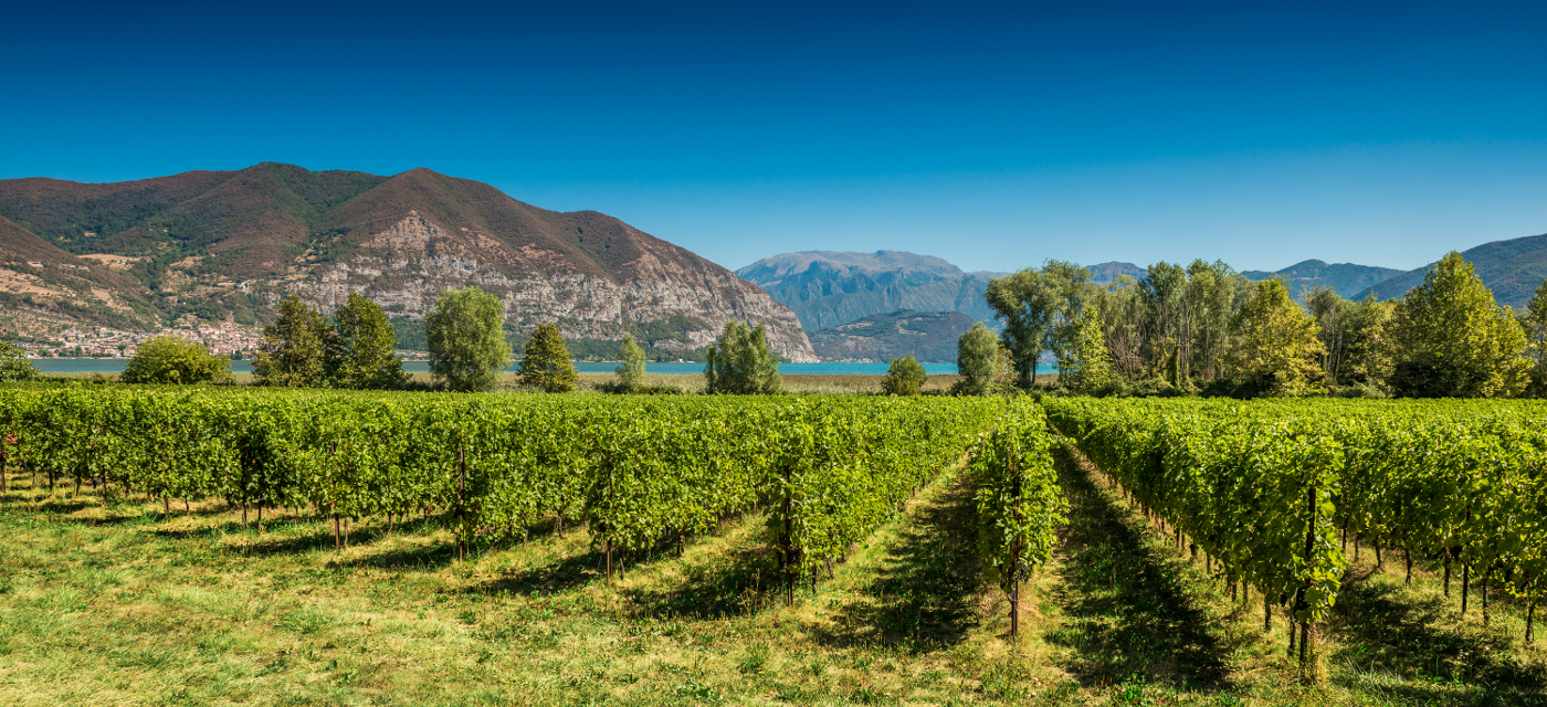 Франчакорта - Provaglio d'Iseo | Secret World Trip Planner