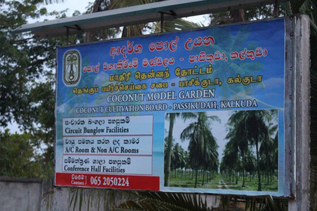 Parc culturel de la noix de coco — Kalkudah