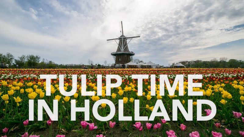 Festival des tulipes — Holland