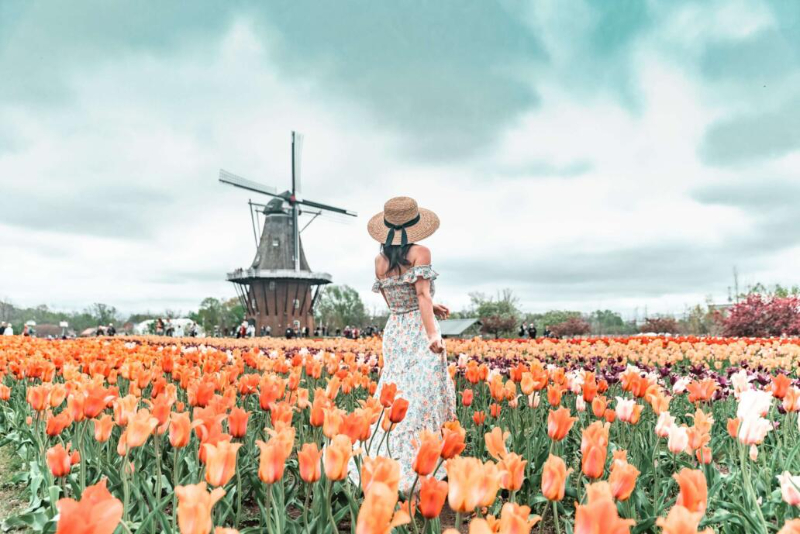 Festival des tulipes - Holland | Secret World Trip Planner