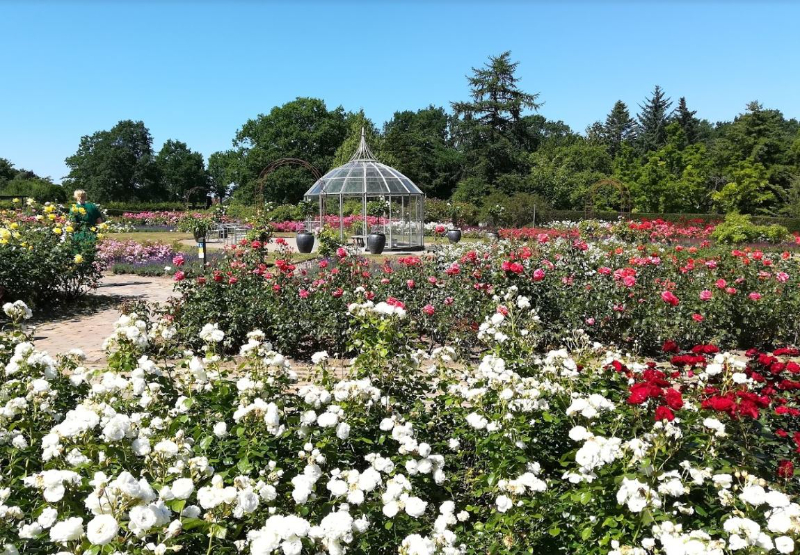 Il giardino geografico — Kolding
