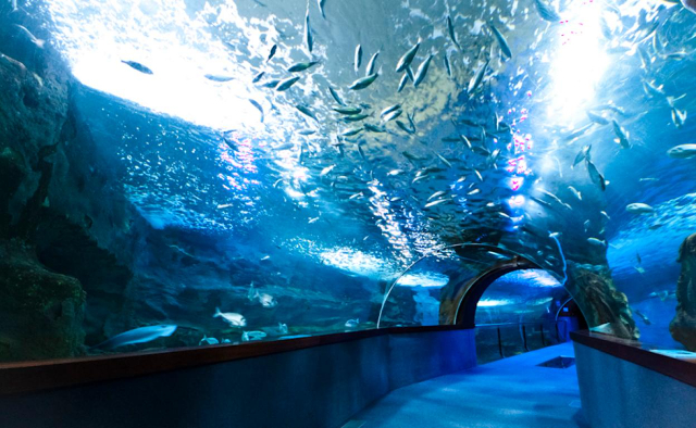 Acuario de San Sebastián - Donostia | Secret World Trip Planner