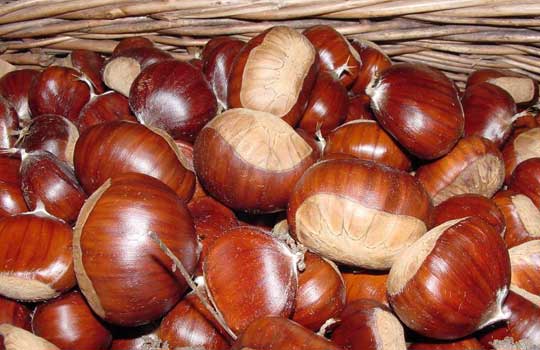 Montella chestnut I.G.P. - Montella | Secret World Trip Planner