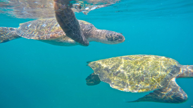 Parc national de Machalilla - Puerto López | Secret World Trip Planner