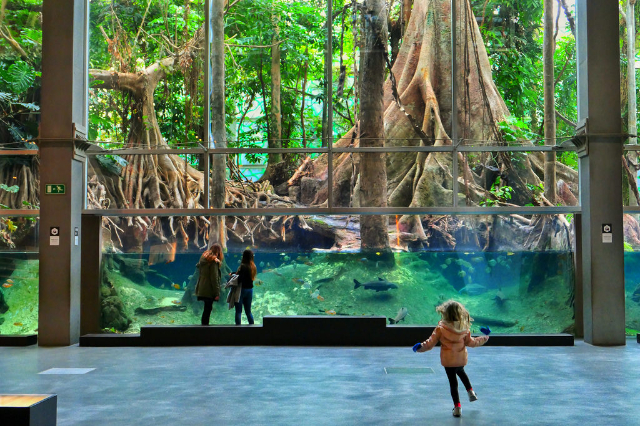 CosmoCaixa muuseum - Barcelona | Secret World Trip Planner