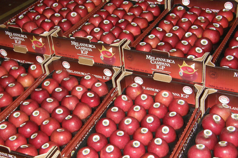 Apple ya Annurca, Malkia wa apples - Valle di Maddaloni | Secret World Trip Planner