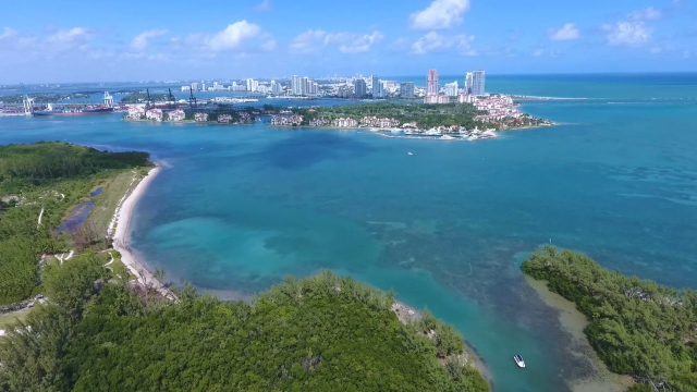 Parque de la playa de Virginia Key - Florida | Secret World Trip Planner