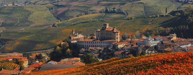 Barolo and its wine - Barolo | Secret World Trip Planner