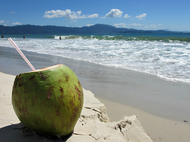 Coco Verde - Recife | Secret World Trip Planner