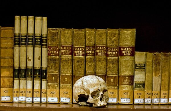 Museum Anatomi - Napoli | Secret World Trip Planner