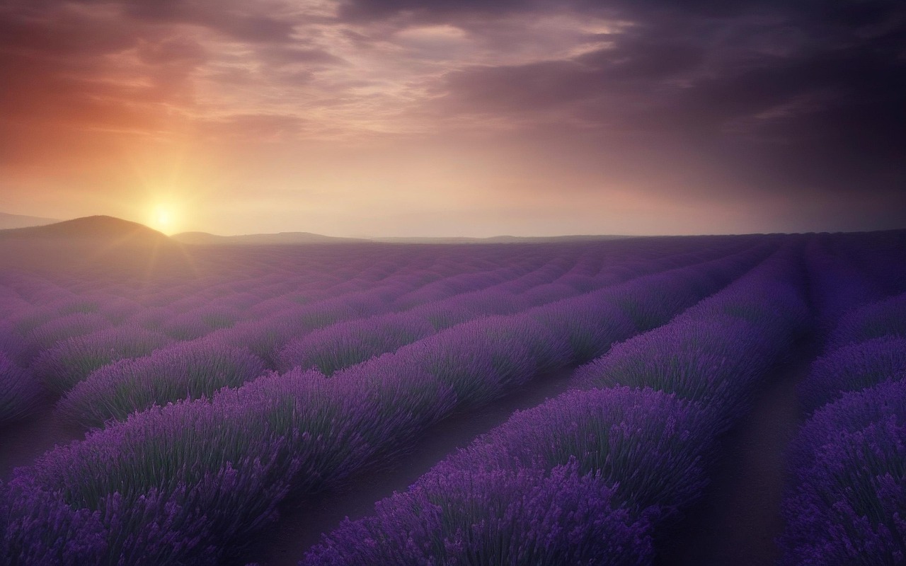 Ümbritsetud valdkondades lavendel, Simiane La Rotonde - Simiane-la-Rotonde | Secret World Trip Planner