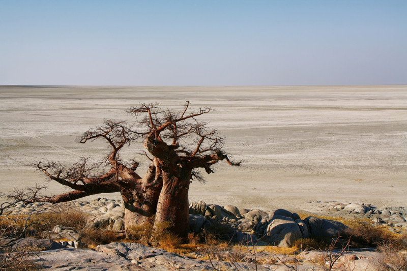 Makgadikgadi Pan, Botsuana - Makgadikgadi Pans | Secret World Trip Planner