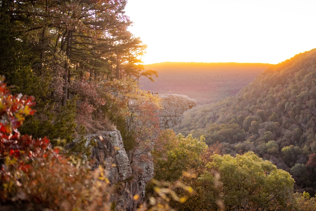 Arkansas: Hawksbill Crag, también conocido como Whittaker Point. - Kingston | Secret World Trip Planner
