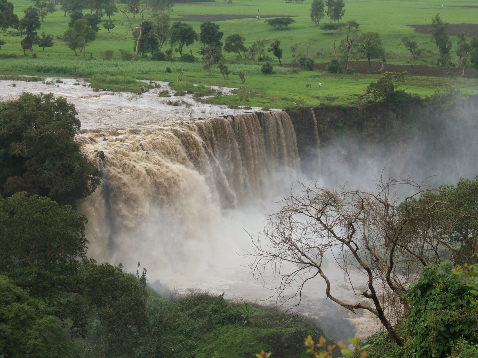 Blue Nile Falls: a waterfall on the Blue Nile river - Cascate del Nilo Azzurro | Secret World Trip Planner