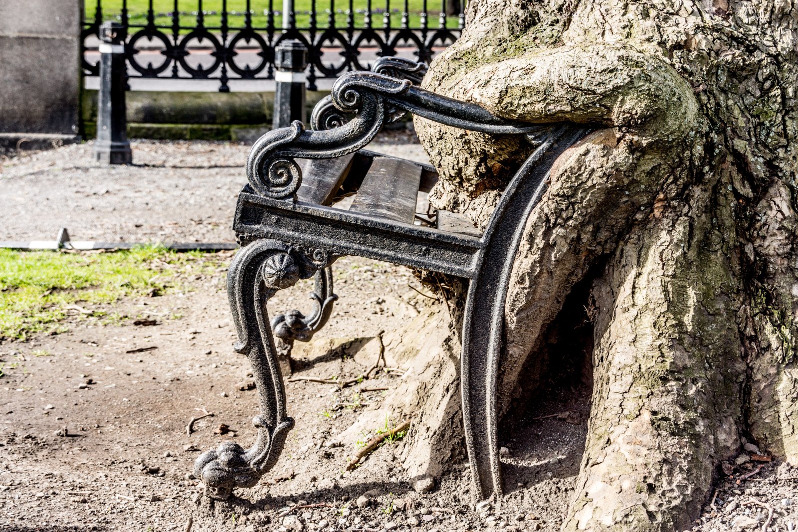 Dublin | The Hungry Tree - Dublin | Secret World Trip Planner