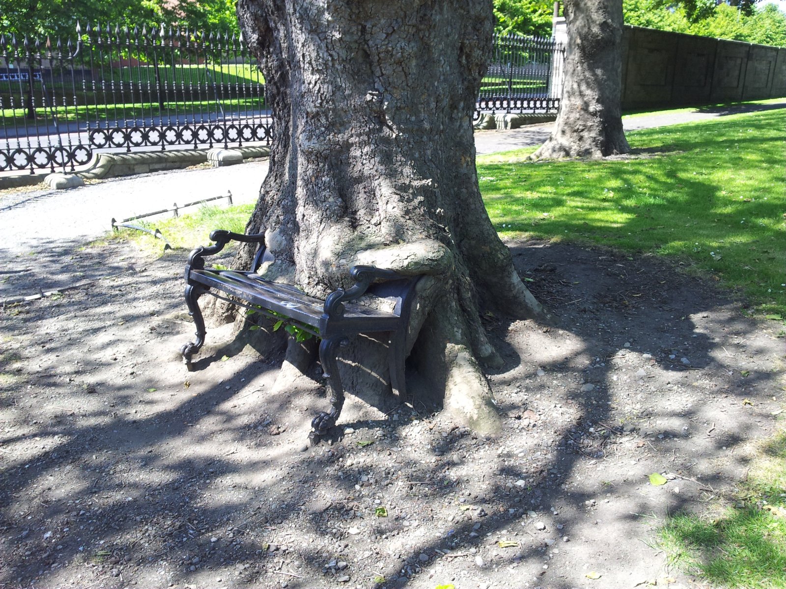 Dublin | The Hungry Tree - Dublin | Secret World Trip Planner