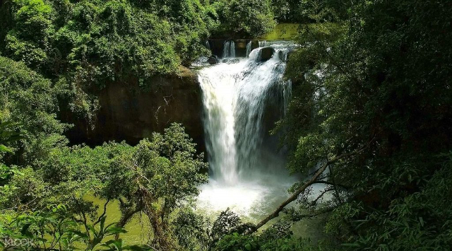 Národný park Khao Yai - Provincia di Nakhon Ratchasima | Secret World Trip Planner