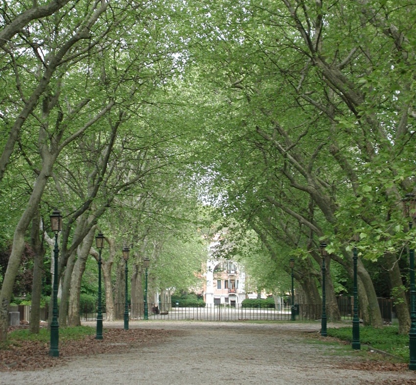 biennale ၏ဥယျာဉ်များ၏တစ္ဆေ - Riva dei Sette Martiri | Secret World Trip Planner