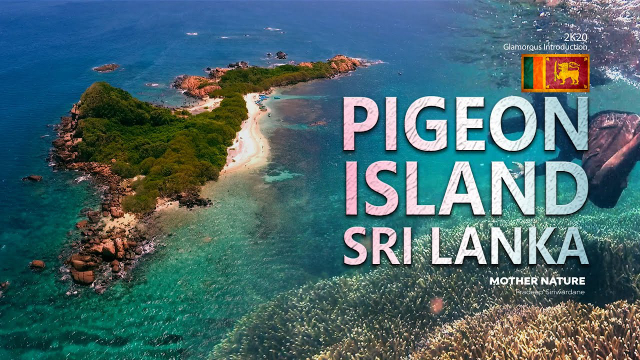 Isla de las Palomas — Pigeon Island