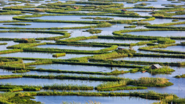 Le isole galleggianti del lago Loktak - Loktak Lake | Secret World Trip Planner