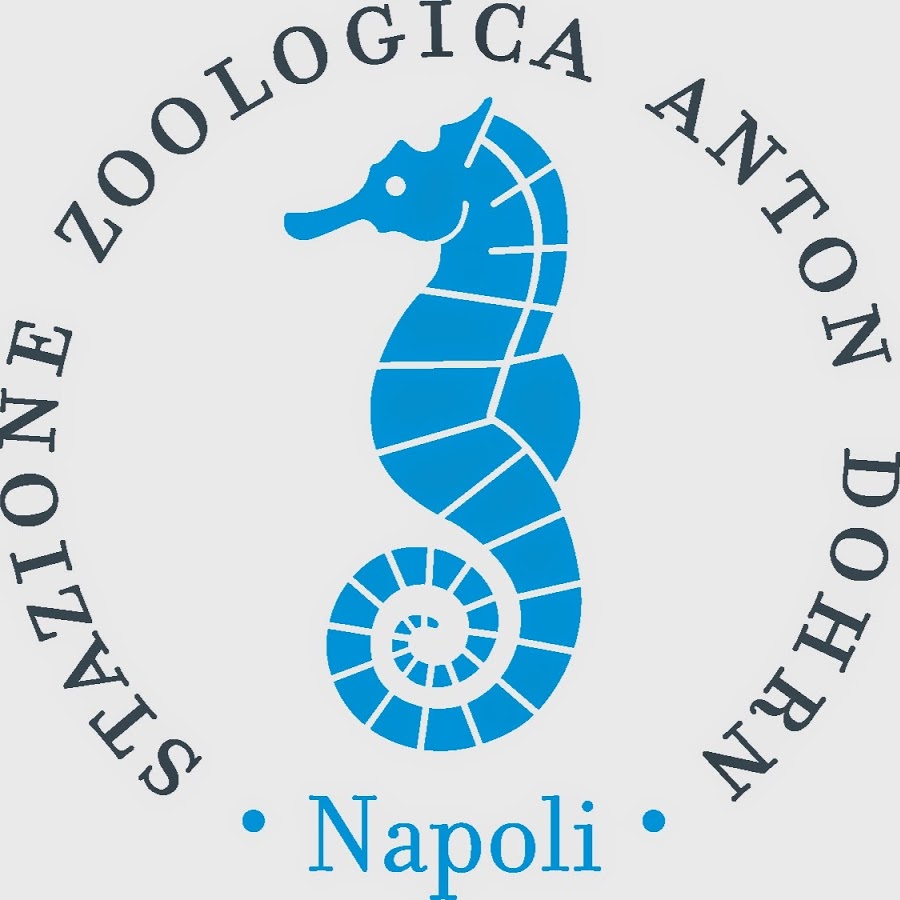 Stațiunea zoologică Anton Dohrn din Napoli - Napoli | Secret World Trip Planner